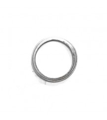 Sealing ring 20405569